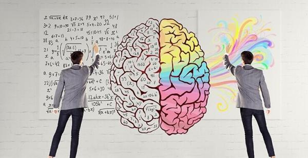 Professores paulistas adotam neurociência para aperfeiçoar as relações educacionais